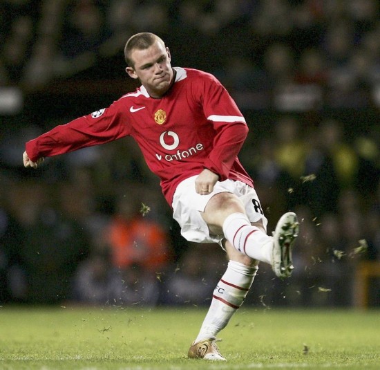 鲜明的反映 鲜明的反映